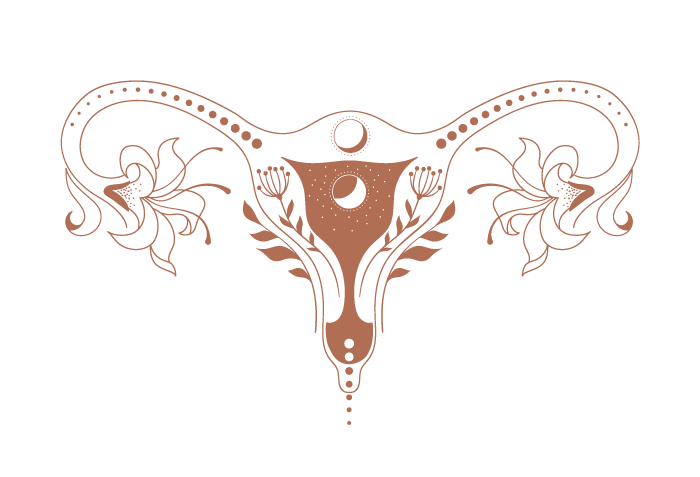 Image of the womb